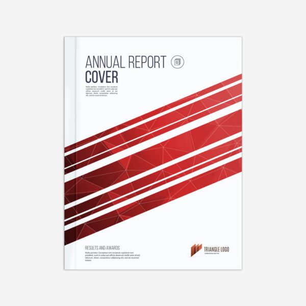 Banking Industry Annual Report